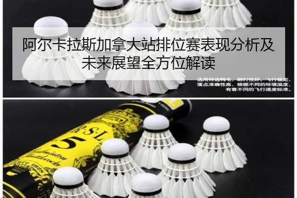 阿尔卡拉斯加拿大站排位赛表现分析及未来展望全方位解读
